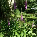 Elena Feriehus Slenaken