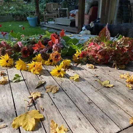 Elena Дом отдыха