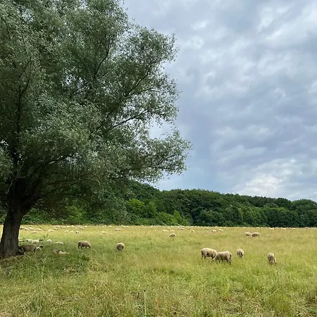 Дом отдыха Elena