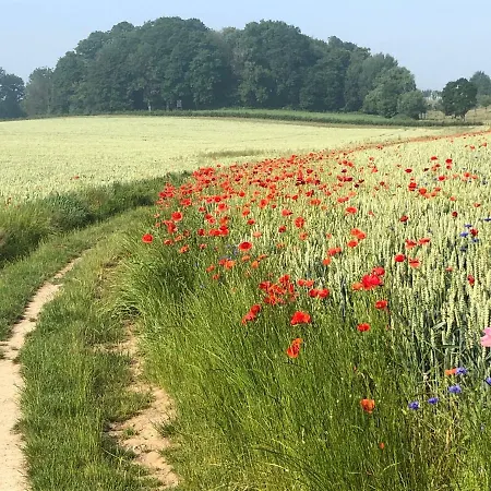 Elena Дом отдыха