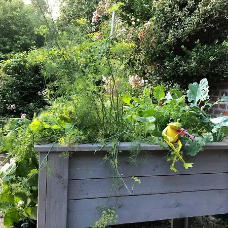 Elena Сasa de vacaciones Slenaken