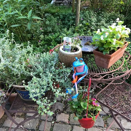 Elena Дом отдыха