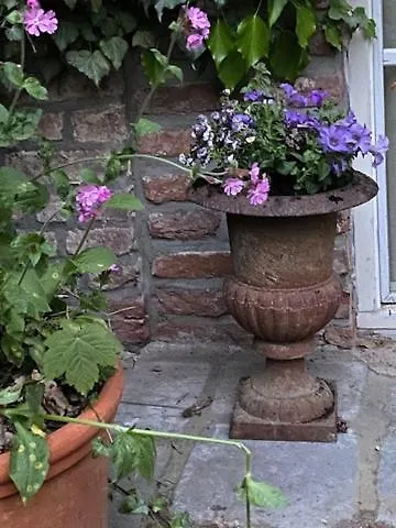 Elena בית נופש סלנאקן