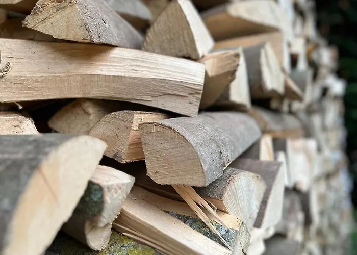 בית נופש Elena סלנאקן