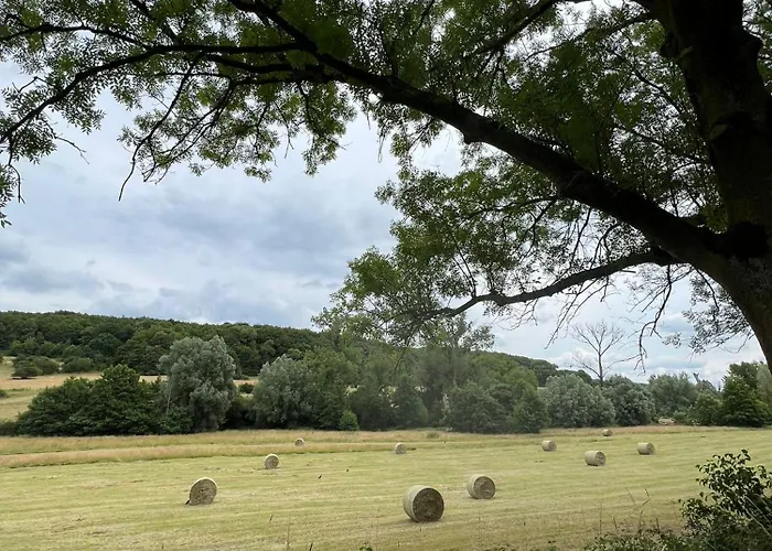בית נופש Elena