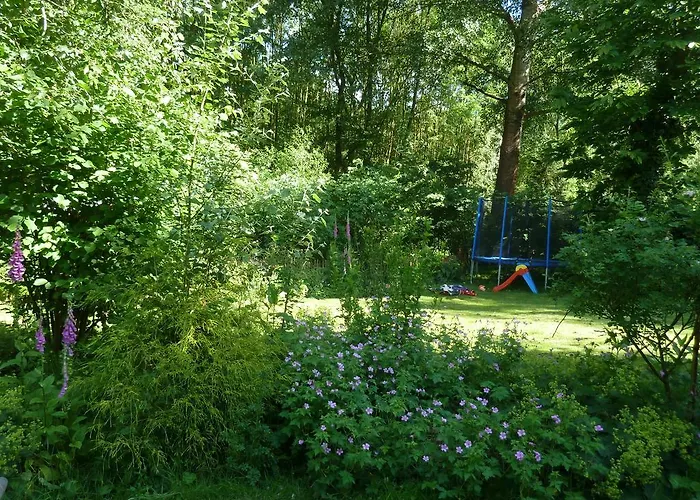 Elena بيت للعطل *