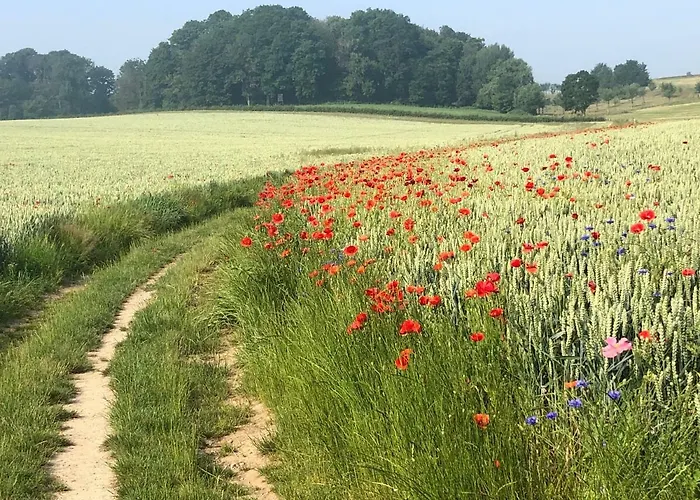 Elena بيت للعطل