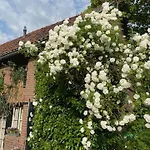 Elena سليناكين