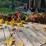 Elena بيت للعطل