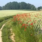 Elena بيت للعطل