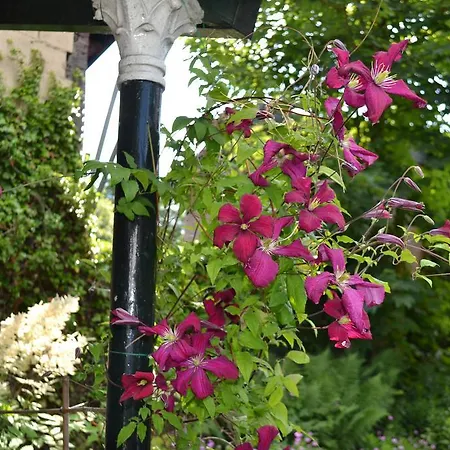 Elena スレナーケン