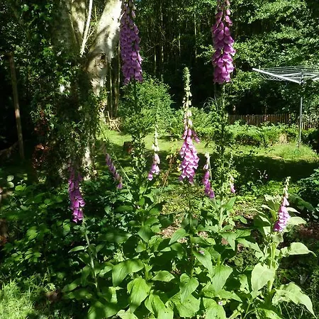 Holiday Elena Holiday home Slenaken