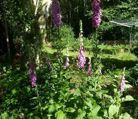 Elena Feriehus Slenaken